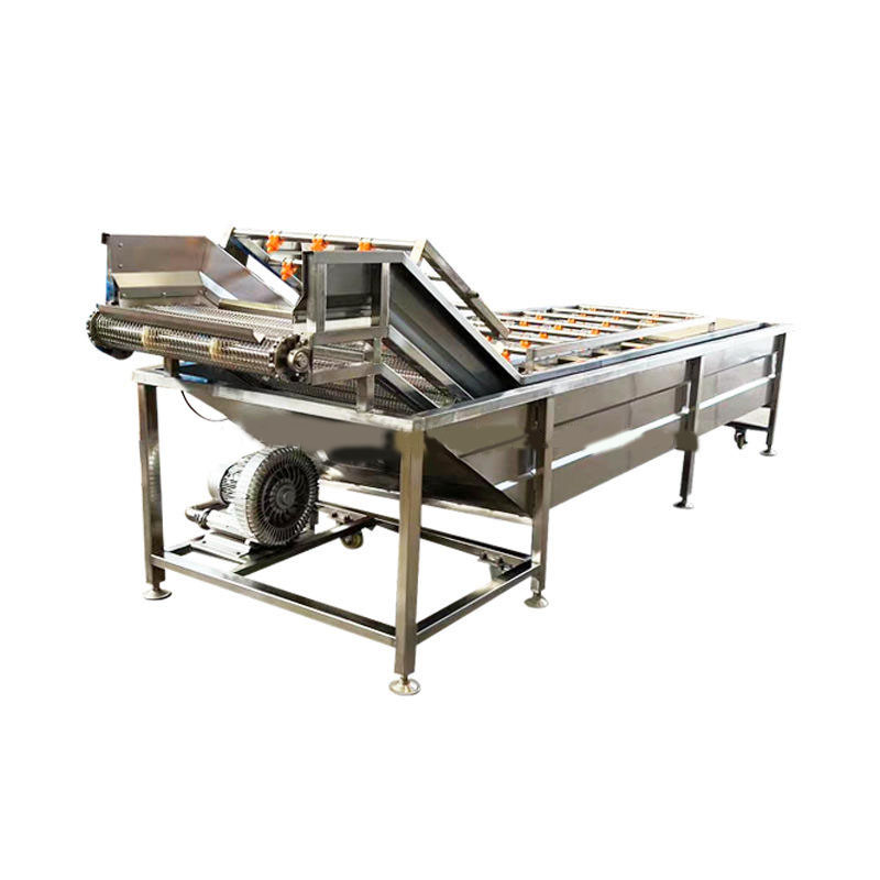 Fruit and Vegetable Processing Line
