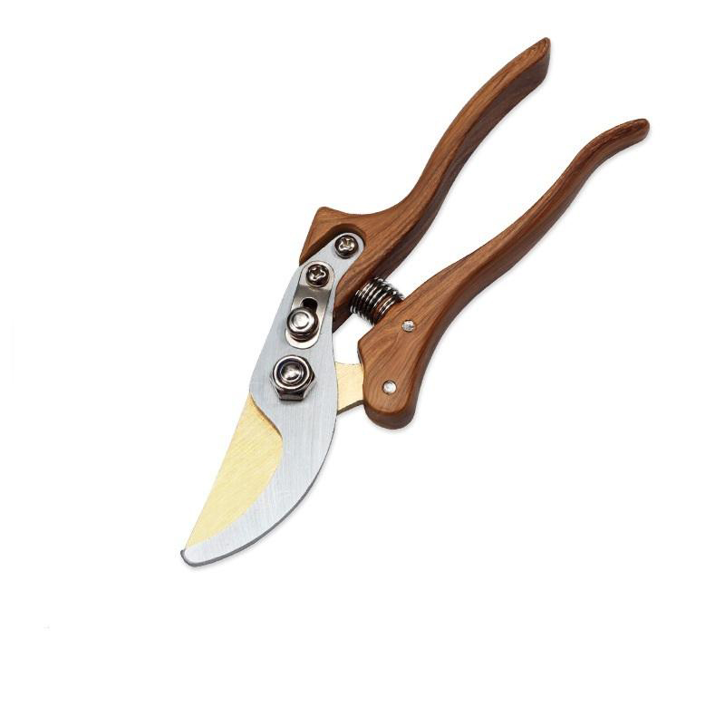Bonsai pruning chooses Cutters ,sharp 21cm, super reliable.