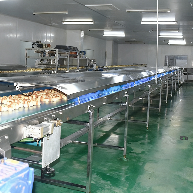 Fully automatic cake machine with european-style paper cups currently in production
