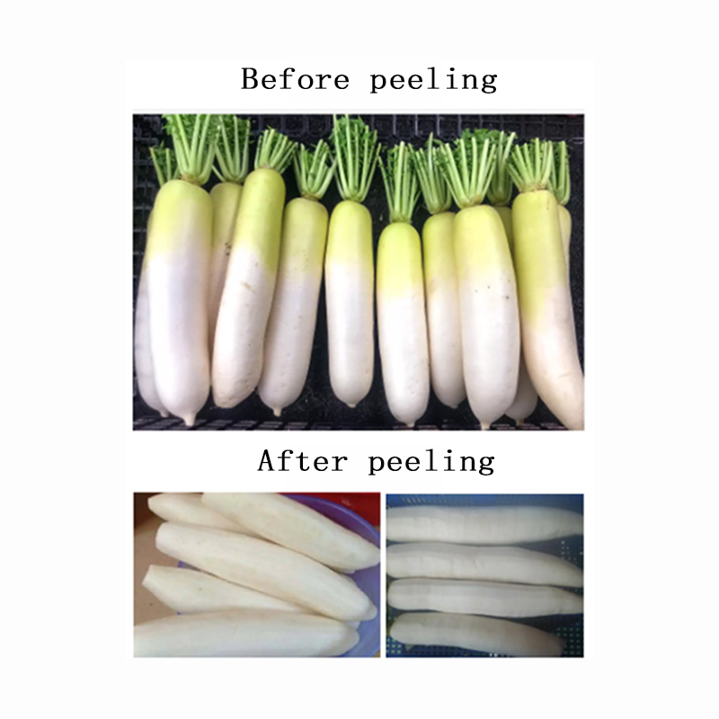 The fully automatic white radish peeling machine has a peeling rate of over 95%.