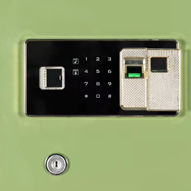 Anti-theft heavy duty safe e-lock close-up.