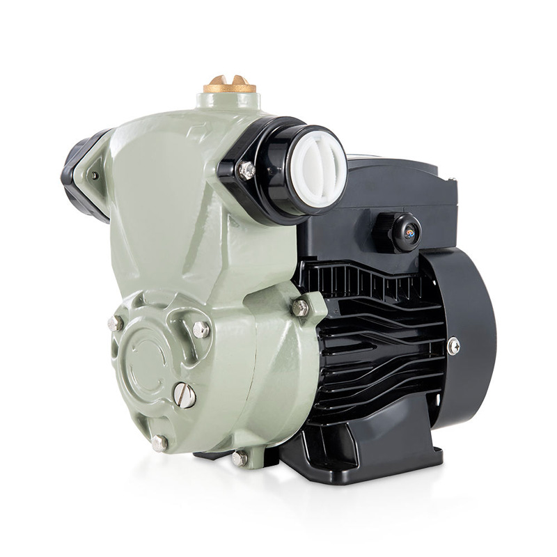 Household self-priming booster pump full view.