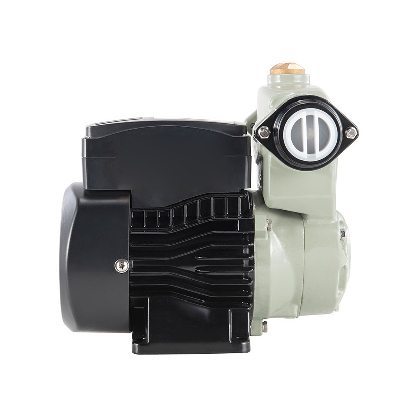 A side view of an automatic water pump.