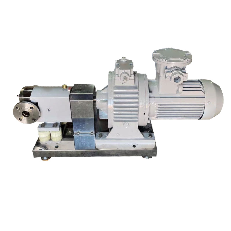 A side view of a high-pressure food sauce delivery pump.