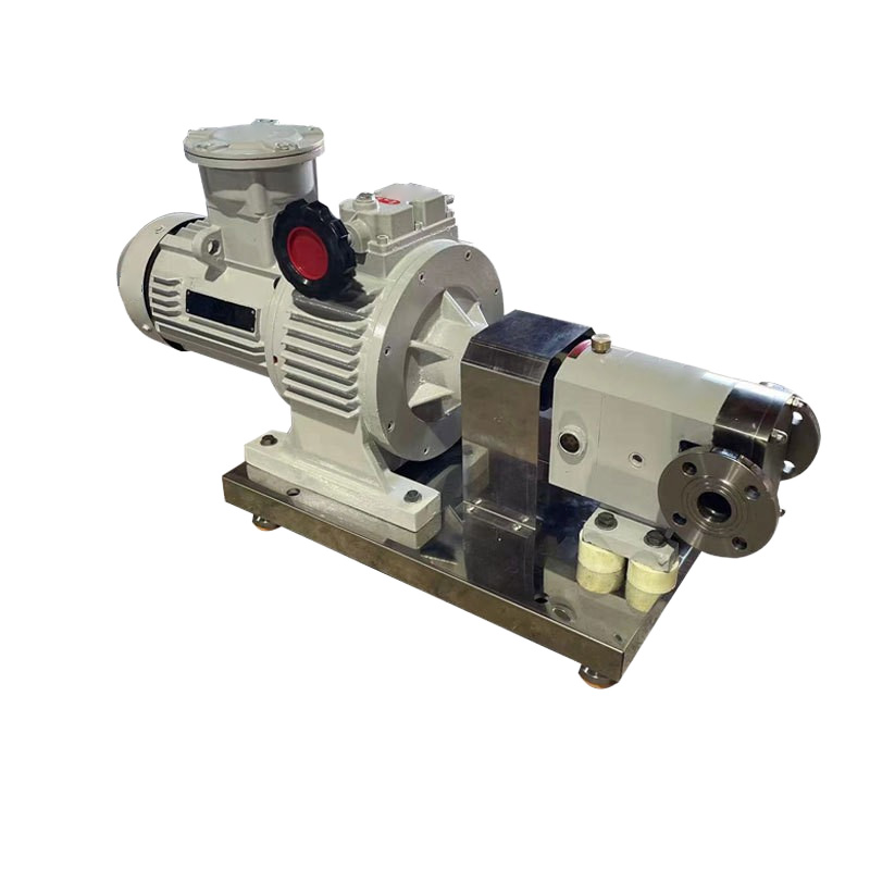 Actual photo of a high-pressure food sauce delivery pump.