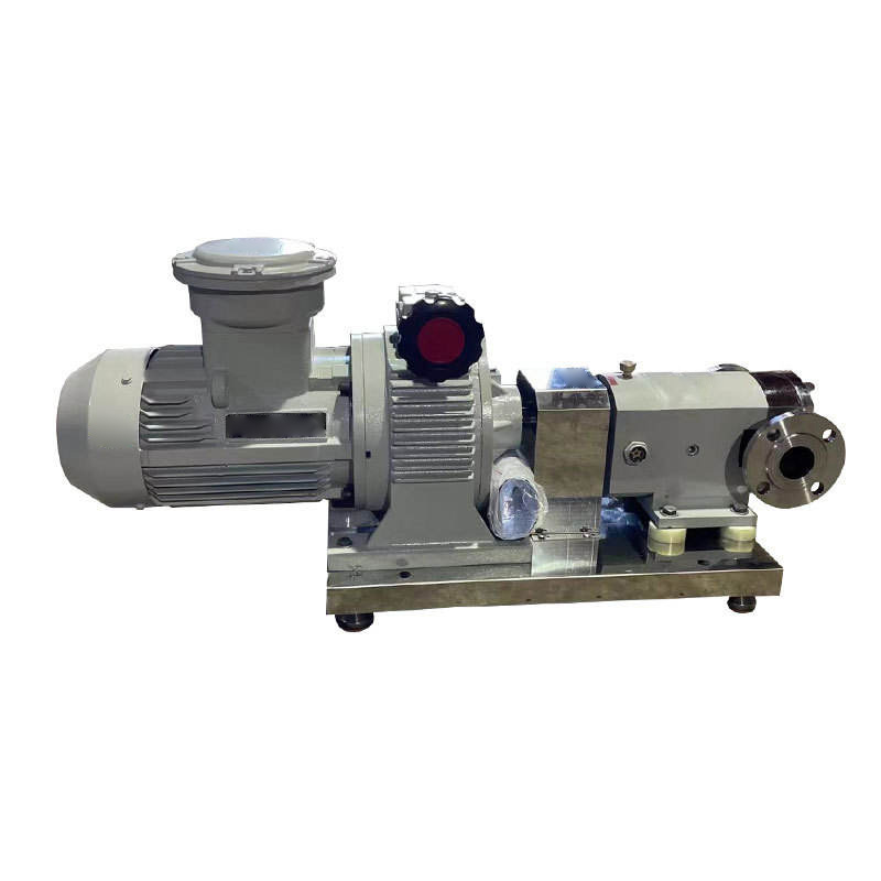 Side and front view of the 11 kW cam rotor pump.