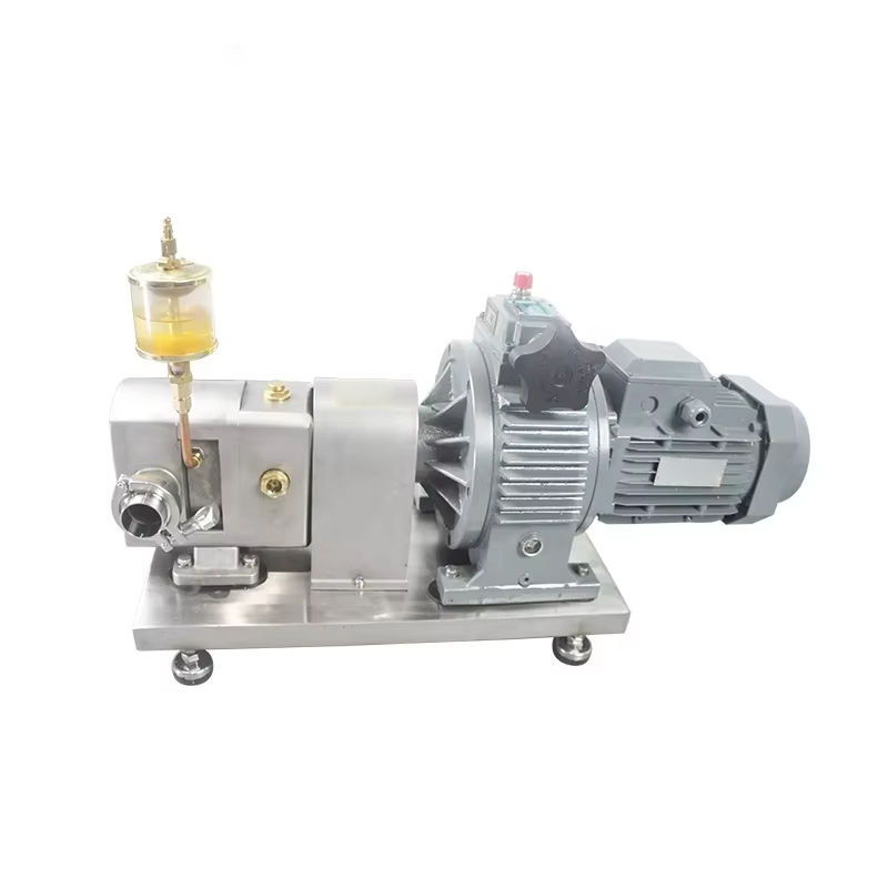 Front view of a commercial cam rotor pump.