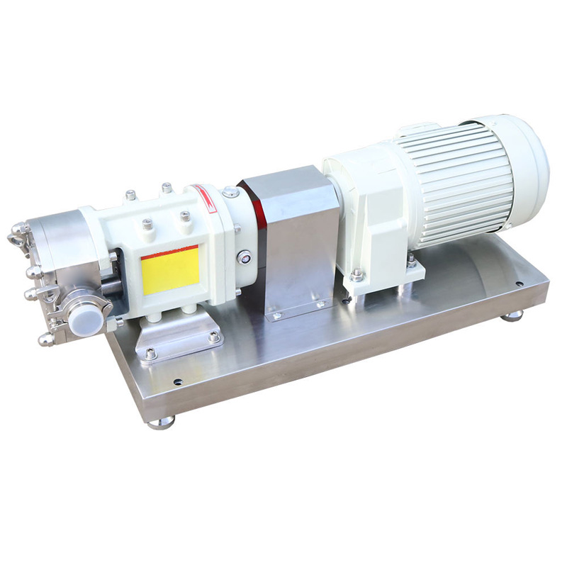 High flow SS cam rotor pump full view display.