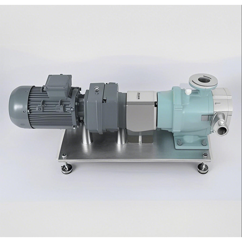 Side view of a horizontal cam rotor pump.