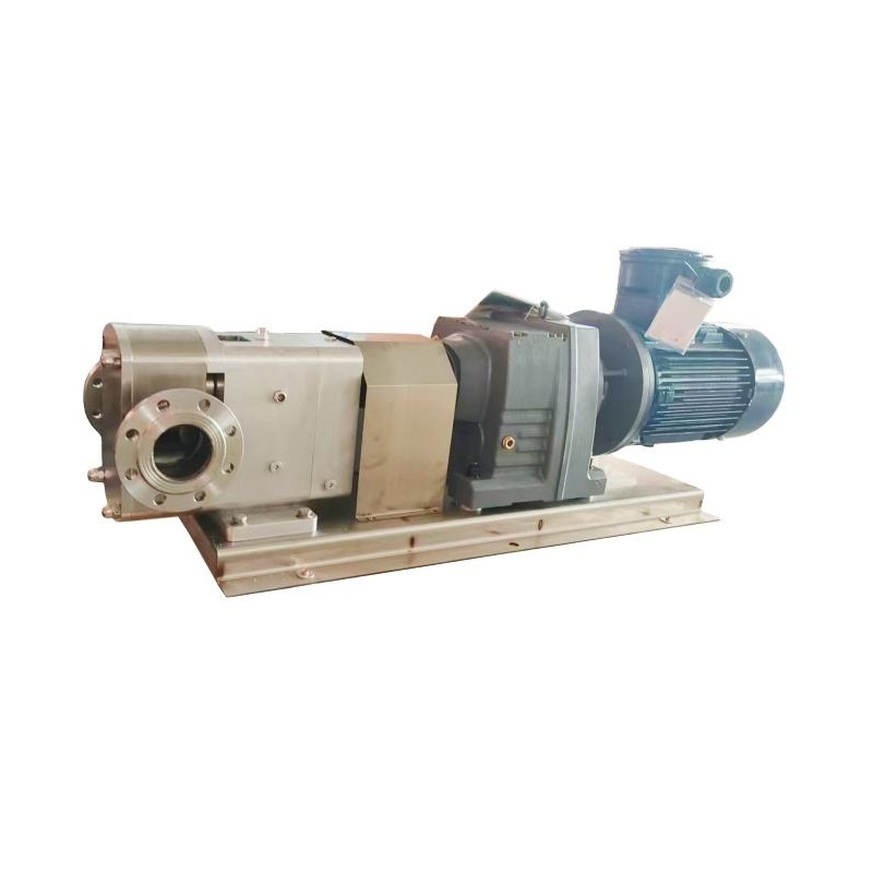 Mini sanitary cam rotor pump full view.