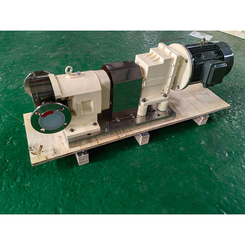 A side view of a food-grade high-viscosity cam pump.
