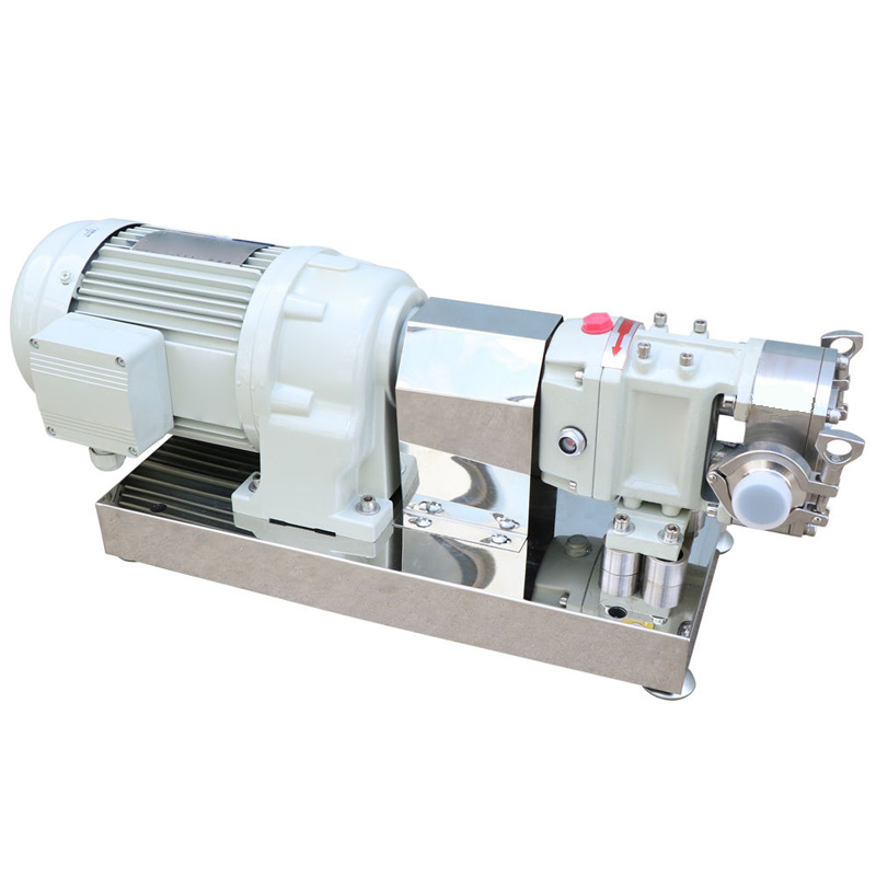 SS sanitary cam rotor pump full view.