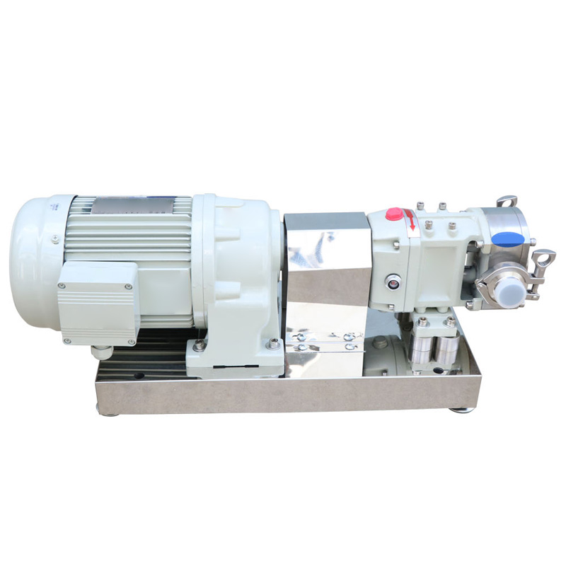 Side view of the cam rotor pump packaging.