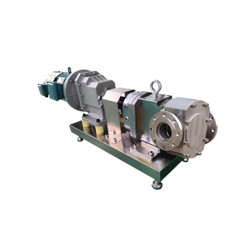 Sanitary cam rotor pump full view display.