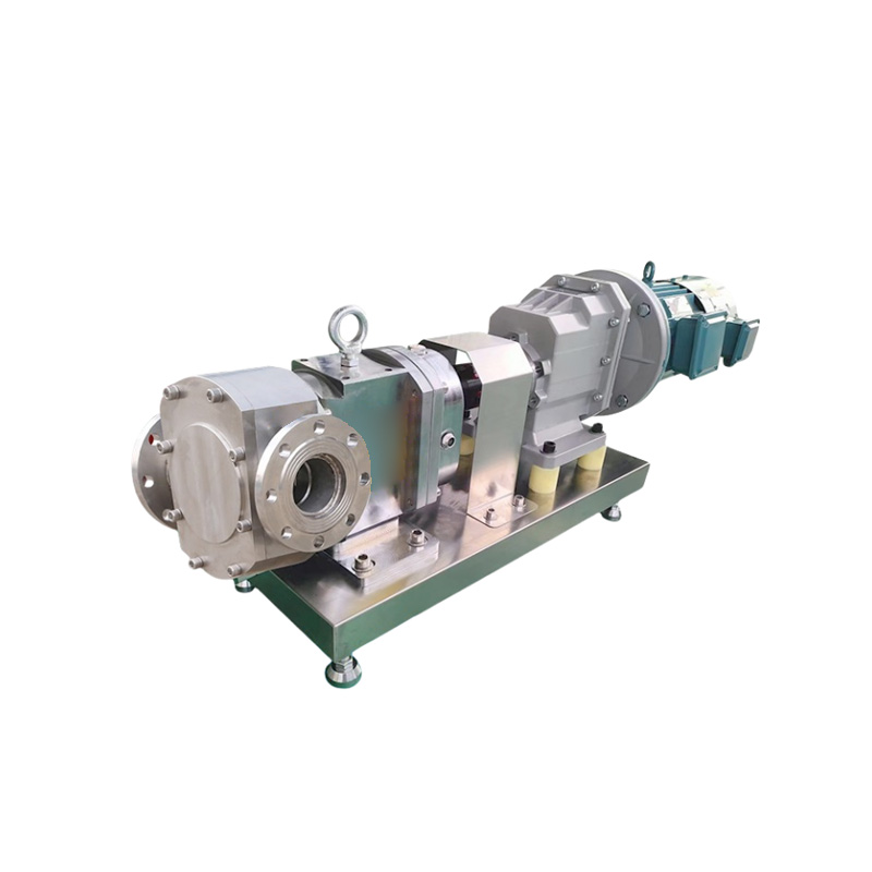 A real photo of a metering pump for high-viscosity honey sauce.