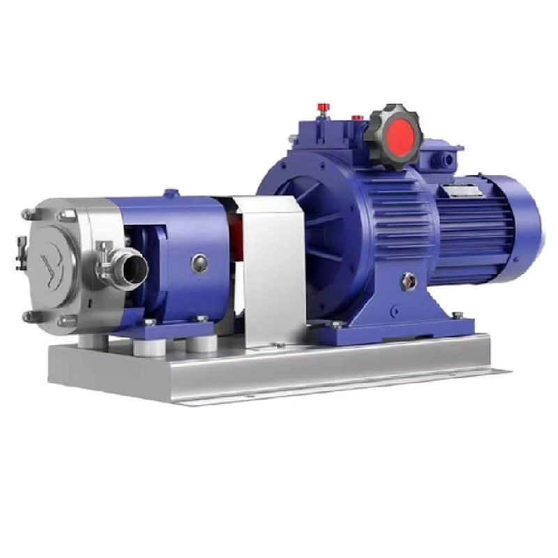 Details of a food-grade safe viscous sauce pump.