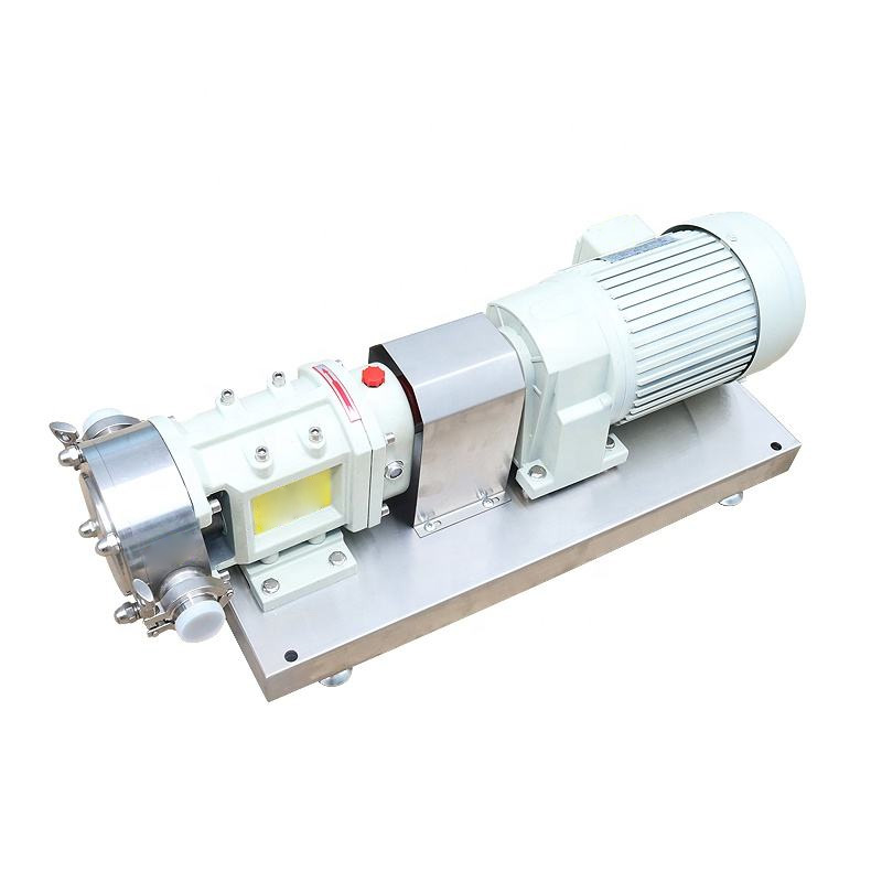 Premium SS cam rotor pump full view display