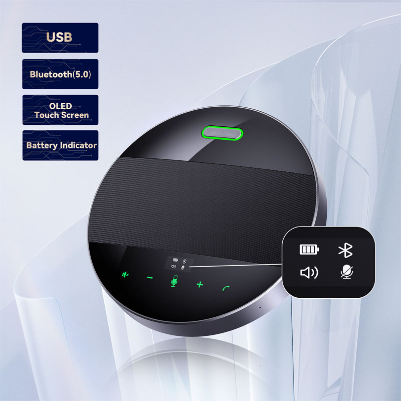 All in one video conference camera audio solution