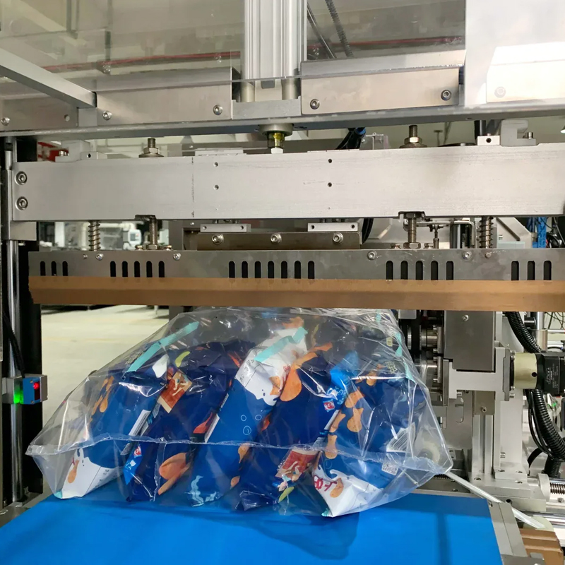 PLC controlled automatic bagging machine with precision weighing system