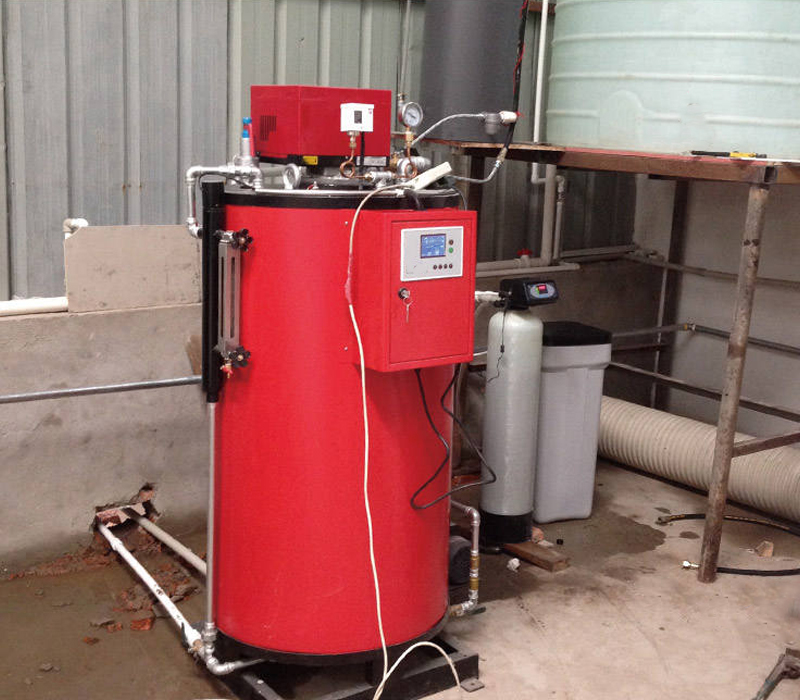 vertical gas steam boiler used in small factory