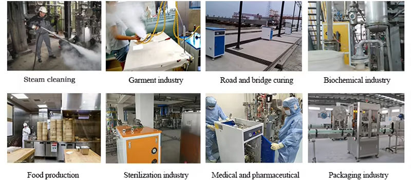 steam boiler food processing application