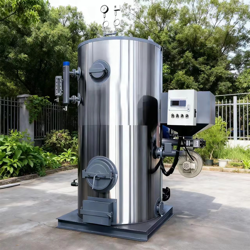 biomass steam generator used in factory