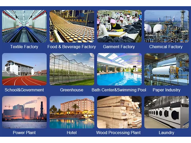 industrial biomass steam generator system