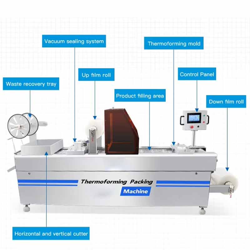 Modular mold system with cooling design