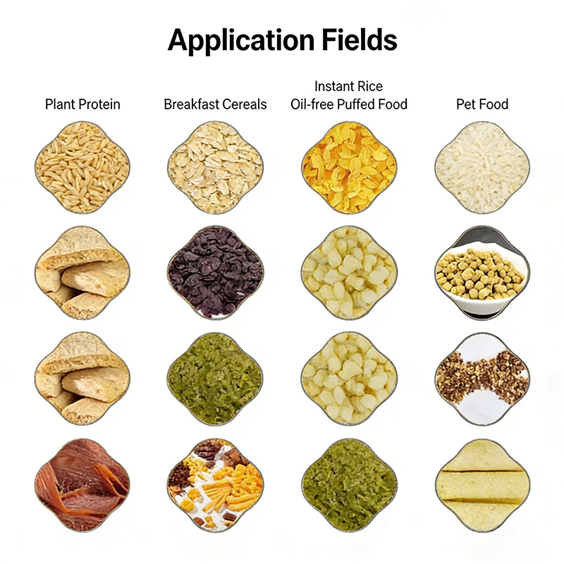 Professional unit for corn chips snack production.